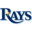 Tampa Bay Rays logo
