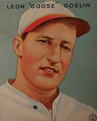 Photo of Goose Goslin