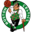 Boston Celtics logo