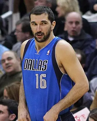 Photo of Peja Stojaković