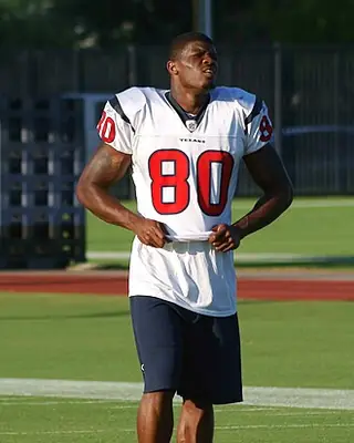 Photo of Andre Johnson