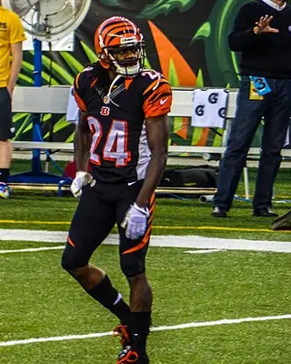 Photo of Adam Jones