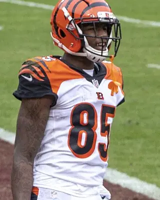 Photo of Tee Higgins